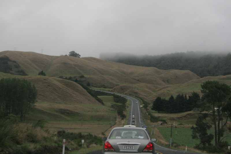 Nieuw-Zeeland 2011 - 0663